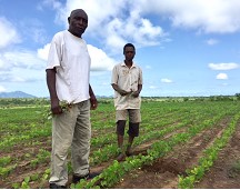 FEED THE FUTURE MOZAMBIQUE INNOVATIONS (FTF INOVA)