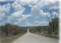 BUILDING COMMUNITY RESILIENCE IN CABO DELGADO