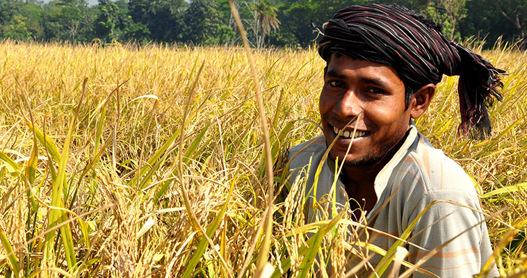 Musaddek received training from USAID on sustainable agriculture, where he learned about soil and water conservation. 