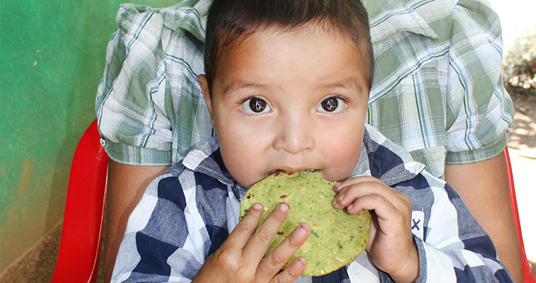 In Intibucá, Honduras, Fintrac nutrition technicians are teaching mothers of young children how to prepare nutrient-rich fortified tortillas using vegetables from their home gardens.