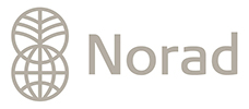 Norad logo