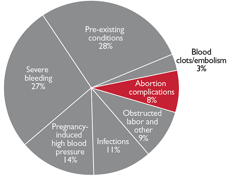 Graphic of a chart.
 Severe bleeding 27%
 Pregnancy-induced high blood pressure 14%
 Infections 11%
 Obstructed labor and other 9%
 Abortion complications 8%
 Blood clots/embolism 3%
 Pre-existing conditions 28%