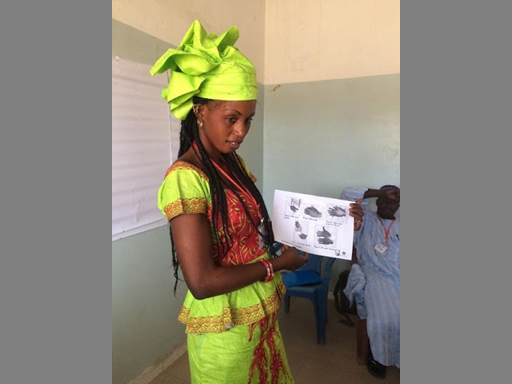 In Senegal, a volunteer helped implement a series of trainings for 22 health workers from 11 communities on outreach activities.