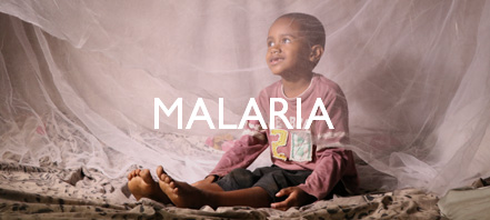 Malaria