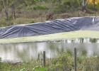 The 400,000-gallon rainwater harvesting pond at Munro College improves water efficiency for crop production.