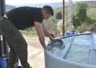 Nowadays, Msallem employees have to check just a handful of large pickling tanks instead of thousands of small barrels.