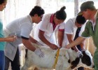 Young members of Cooperative Liberación Norte learn sanitation techniques from a program specialist.