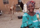 Haro Tissa supports her 11-person household in Burkina Faso by raising small livestock.