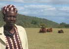 Lina Gudu purchased her cows with proceeds from a village savings and loan group.