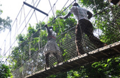 Kakum Rope Walk. Credit: Kelly Ramundo