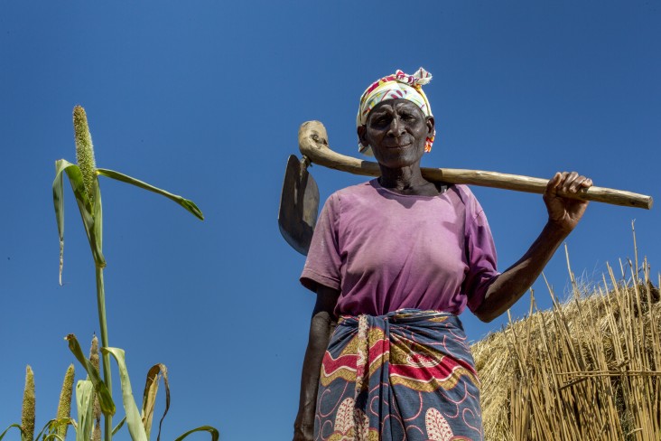 A lady in a corn field holding a hoe