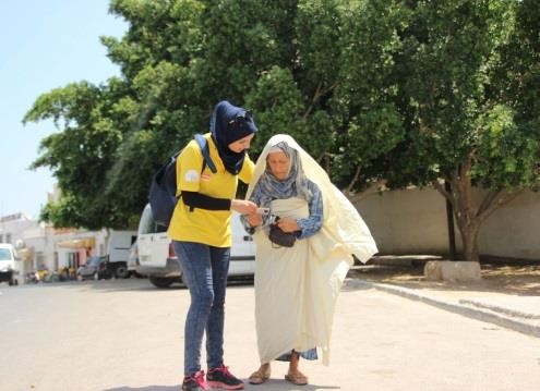 Election monitor with Tunisian voter