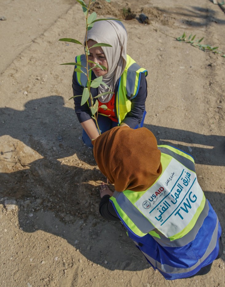 USAID planting trees in Iraq (IGPA)