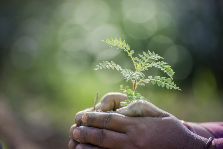 USAID partners to improve India’s forests to cost-effectively address climate change and strengthen forest-dependent communities