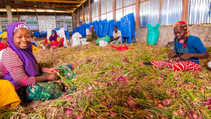 agriculture productivity and quality increased