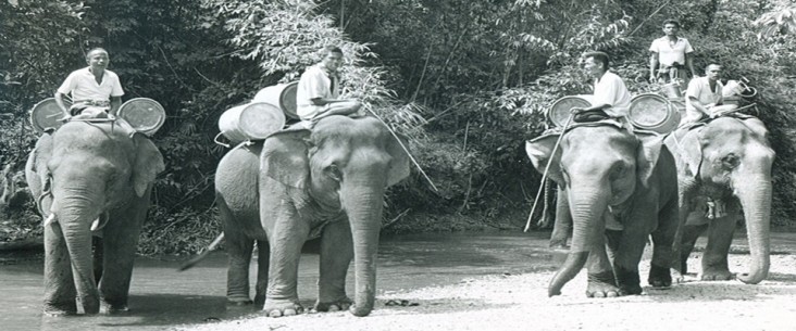 1960s Thailand malaria control