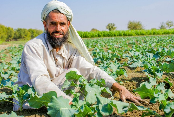 An Afghan farmer at his agriculture demonstration farm in Rodaat district of Nangarhar province in the eastern region.