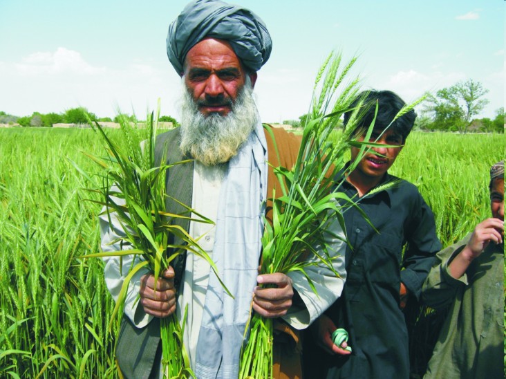 Harvesting the Hope