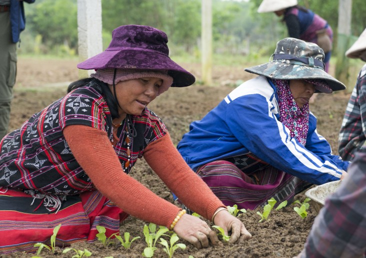 Vegetable farmers from Thua Thien Hue province who have benefited from USAID's Green Annamites project.