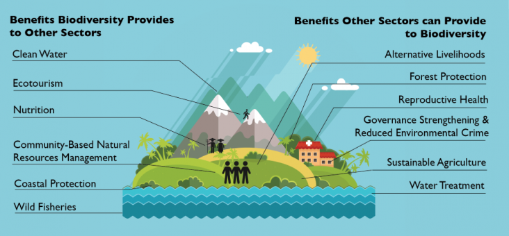 Biodiversity integration graphic