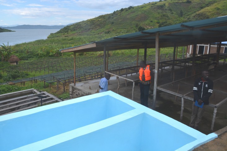 Modern coffee washing station