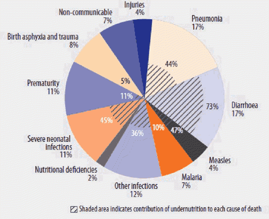 Pie chart showing majore causes of death in children under 5