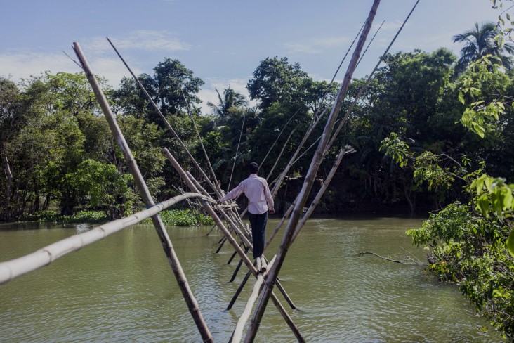 A villager walks on a narrow bamboo bridge in Baushi village in Dirai upazila, Sunamganj.  