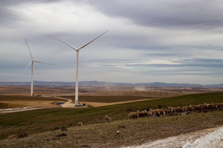 Excelsior Wind Farm