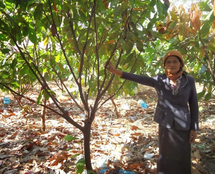 Mrs. Buon standing by her cocoa plant.