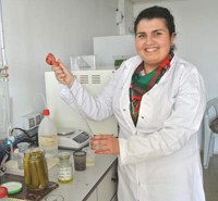 A Msallem food technician tests pickled cucumbers onsite to determine acidity levels.