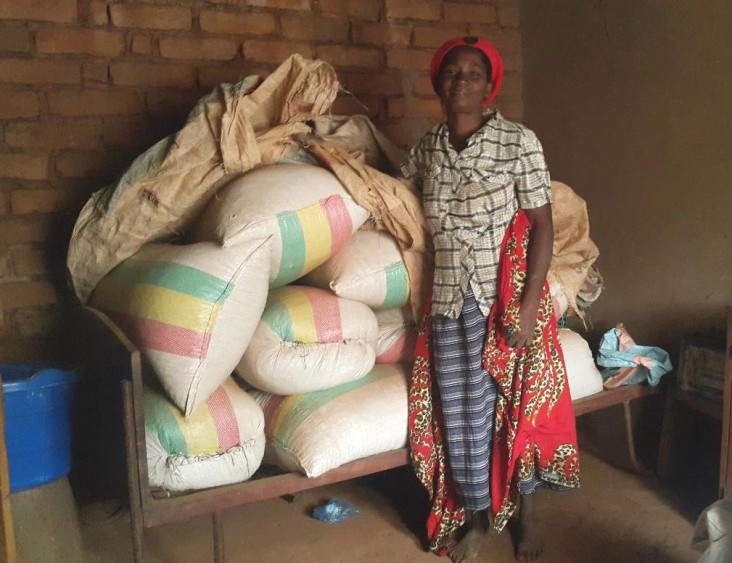 Edna Ndalama’s 2016-2017 drought tolerant maize harvest