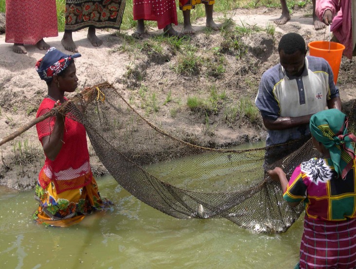 Mozambique food security