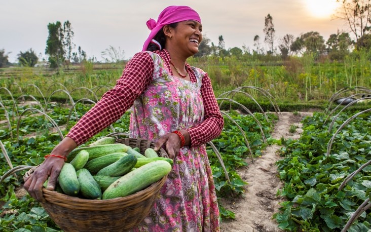 Image of woman vegetable farmer in Nepal