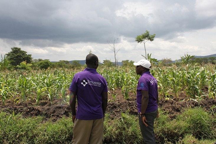 Simusolar staff conducting a site visit to help a farmer install solar pumps