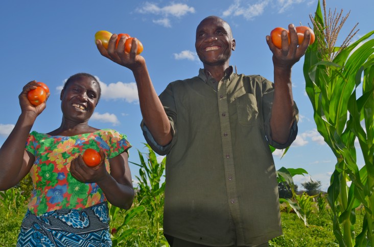 Tanzania agriculture