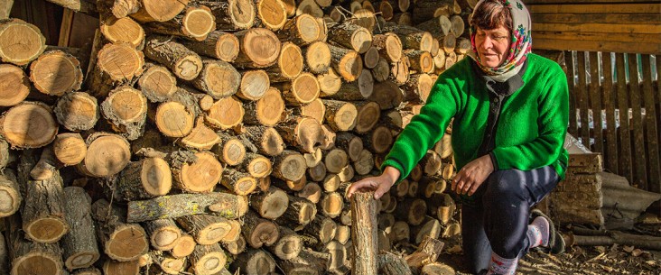 A woman kneels beside a woodpile