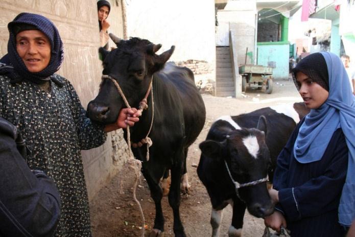 A staff member of the Information, Education and Communication Center in Egypt speaks with a rural woman and her daughter about 