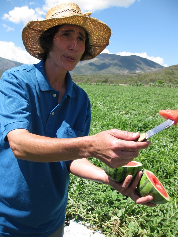 A woman cuts and shows a piece of watermelon