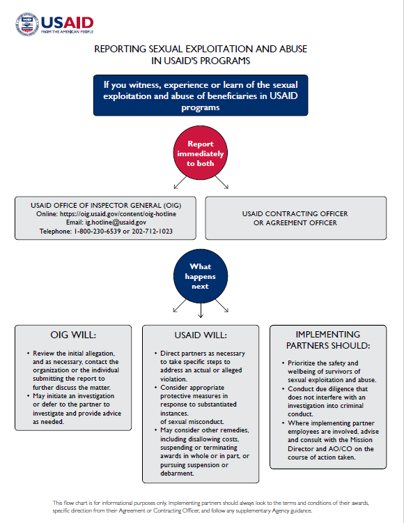 REPORTING SEXUAL EXPLOITATION AND ABUSE IN USAID'S PROGRAMS