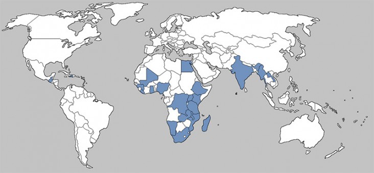 A world map showing the 23 priority countries