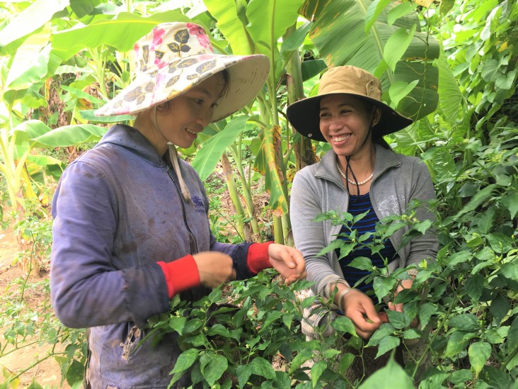 USAID hỗ trợ các cộng đồng địa phương và dân tộc thiểu số đa dạng hóa và cải thiện sinh kế.