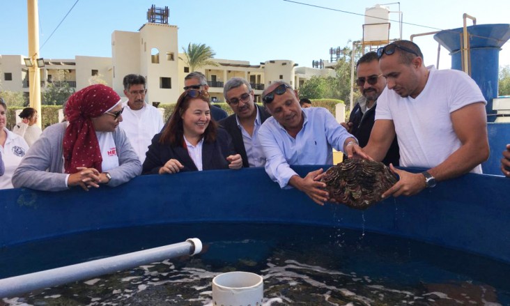 USAID/Egypt Deputy Mission Director Rebecca Latorraca visits a giant clam farm in Marsa Alam with renowned marine biologist Dr. Mahmoud Hanafy and HEPCA representatives. Restoring the native giant clam population is critical to coral reef.