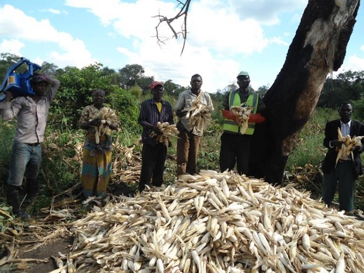 Farmers of Nhantumbi