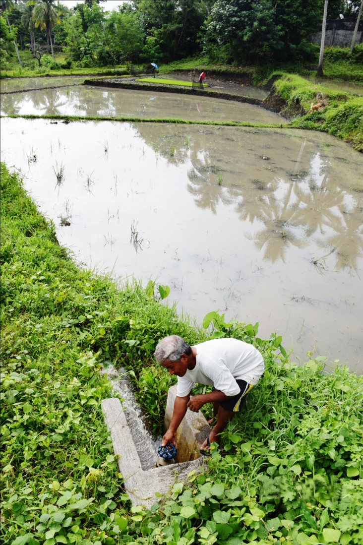 Filipino Farmers Triumph Over Drought