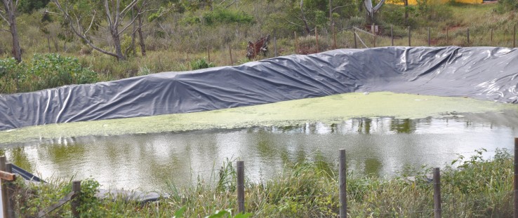 The 400,000-gallon rainwater harvesting pond at Munro College improves water efficiency for crop production.