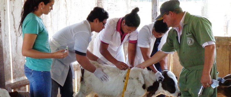 Young members of Cooperative Liberación Norte learn sanitation techniques from a program specialist.