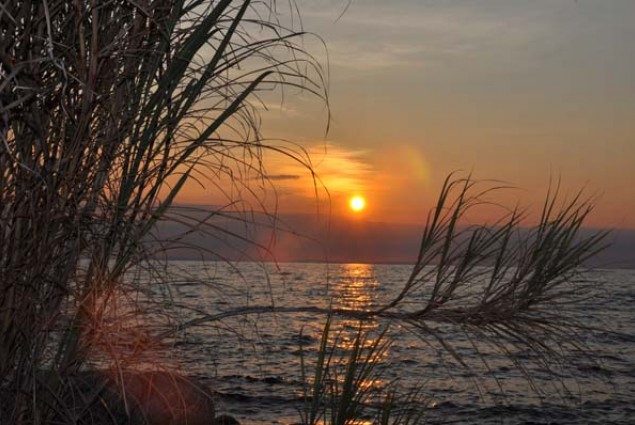 The Lake Niassa Reserve was officially opened on June 11, 2011. The Reserve protects the species and natural habitats of the mos