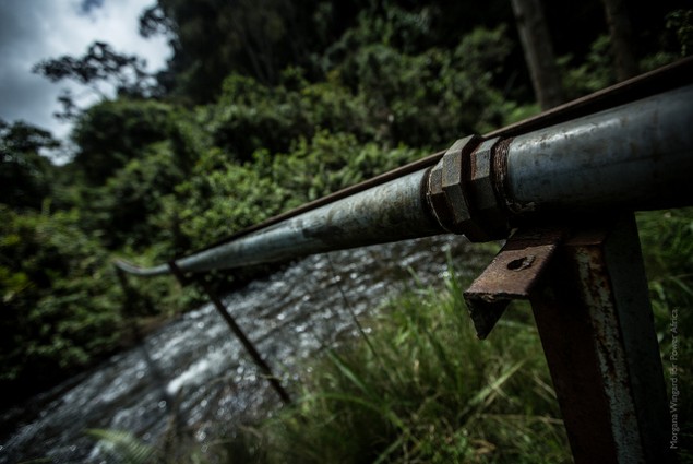 Pipelines using the force of gravity carry water to irrigate crops of tea and coffee in the Muntungru Community in Kenya