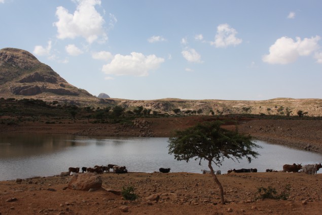 Water Catchment Area