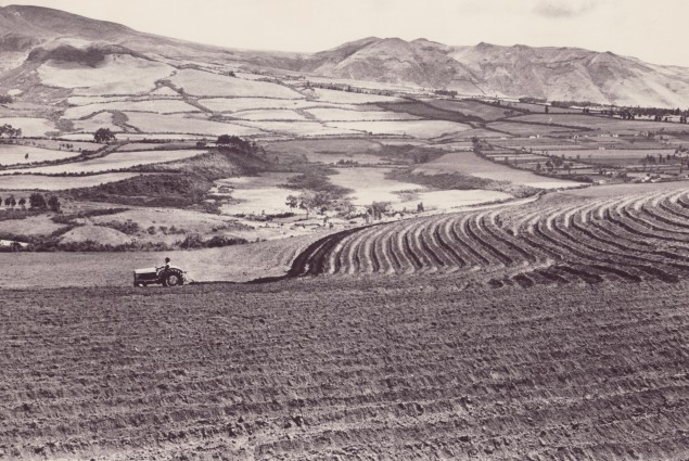 Man Riding Tractor in Fields